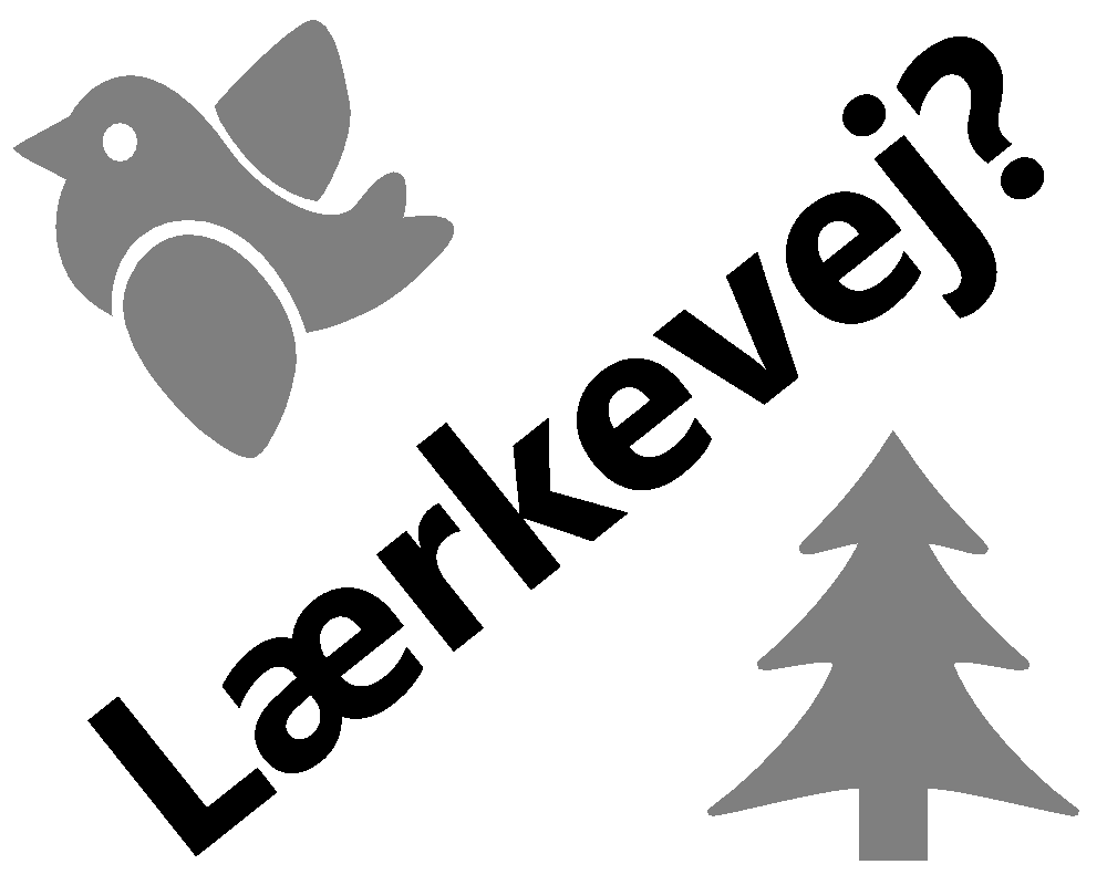 Hvad er veje og steder i Danmark opkaldt efter?